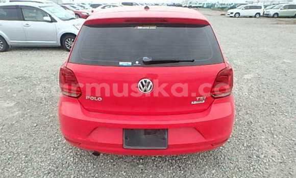 Buy Used Volkswagen Polo Red Car in Beitbridge in Matabeleland South Buy Used Volkswagen Polo Red Car in Beitbridge in Matabeleland South