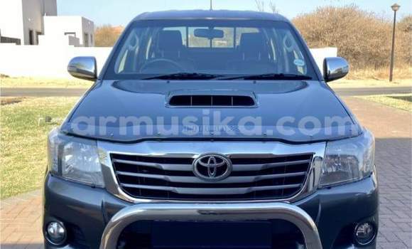 Tenga Tsaru Toyota Hilux Beige Mota in Beitbridge in Matabeleland South Tenga Tsaru Toyota Hilux Beige Mota in Beitbridge in Matabeleland South