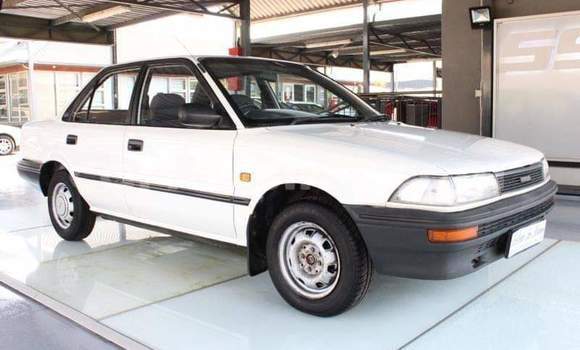 Buy Used Toyota Corolla White Car in Beitbridge in Matabeleland South