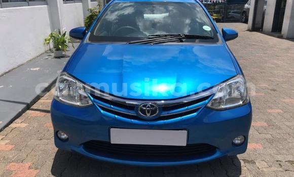 Buy Used Toyota Etios Blue Car in Beitbridge in Matabeleland South