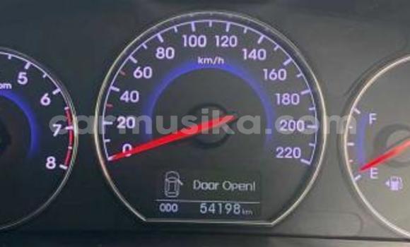 Tenga Tsaru Hyundai Santa Fe Nhema Mota in Beitbridge in Matabeleland South Tenga Tsaru Hyundai Santa Fe Nhema Mota in Beitbridge in Matabeleland South