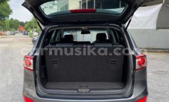 Tenga Tsaru Hyundai Santa Fe Nhema Mota in Beitbridge in Matabeleland South Tenga Tsaru Hyundai Santa Fe Nhema Mota in Beitbridge in Matabeleland South