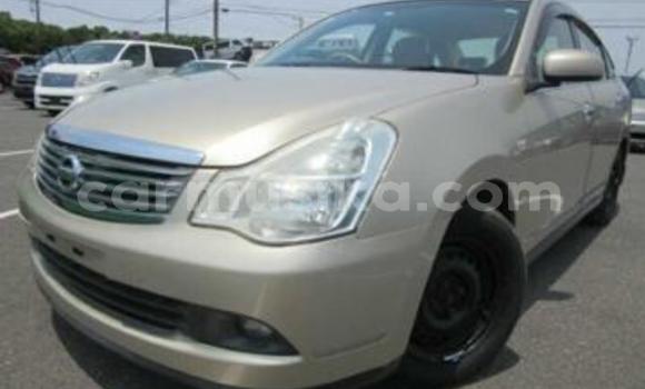 Buy Used Nissan Bluebird Sylphy Beige Car in Beitbridge in Matabeleland South Buy Used Nissan Bluebird Sylphy Beige Car in Beitbridge in Matabeleland South