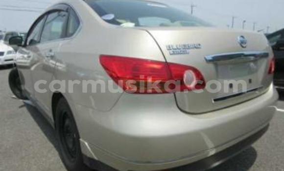 Buy Used Nissan Bluebird Sylphy Beige Car in Beitbridge in Matabeleland South Buy Used Nissan Bluebird Sylphy Beige Car in Beitbridge in Matabeleland South