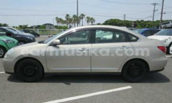 Buy Used Nissan Bluebird Sylphy Beige Car in Beitbridge in Matabeleland South Buy Used Nissan Bluebird Sylphy Beige Car in Beitbridge in Matabeleland South