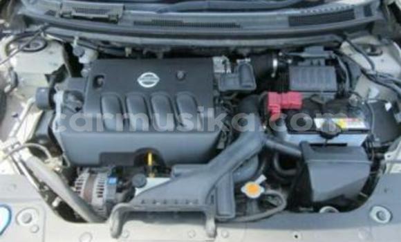 Buy Used Nissan Bluebird Sylphy Beige Car in Beitbridge in Matabeleland South Buy Used Nissan Bluebird Sylphy Beige Car in Beitbridge in Matabeleland South