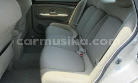 Buy Used Nissan Bluebird Sylphy Beige Car in Beitbridge in Matabeleland South Buy Used Nissan Bluebird Sylphy Beige Car in Beitbridge in Matabeleland South