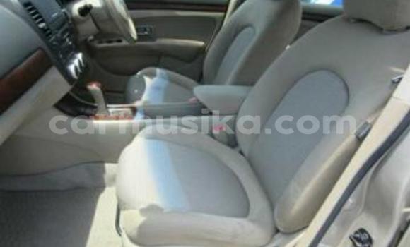 Buy Used Nissan Bluebird Sylphy Beige Car in Beitbridge in Matabeleland South Buy Used Nissan Bluebird Sylphy Beige Car in Beitbridge in Matabeleland South