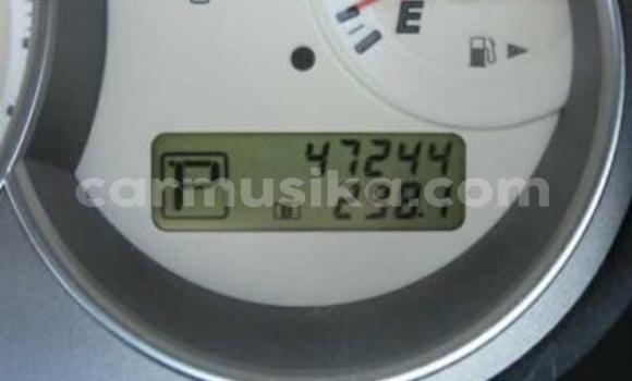 Buy Used Nissan Bluebird Sylphy Beige Car in Beitbridge in Matabeleland South Buy Used Nissan Bluebird Sylphy Beige Car in Beitbridge in Matabeleland South