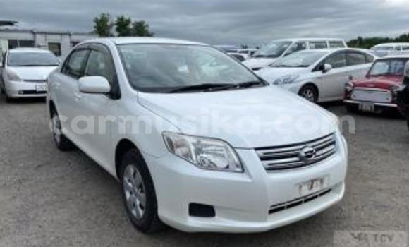 Tenga Tsaru Toyota Axio Chena Mota in Beitbridge in Matabeleland South Tenga Tsaru Toyota Axio Chena Mota in Beitbridge in Matabeleland South