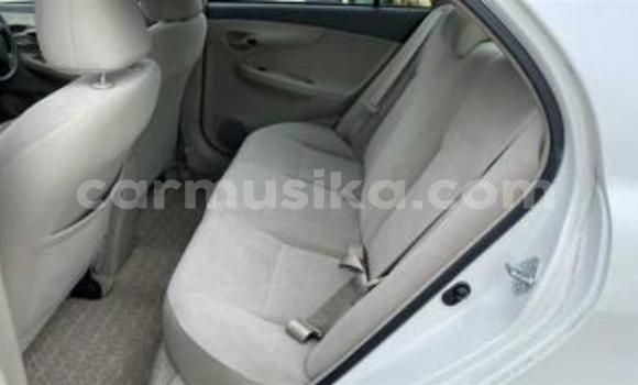 Tenga Tsaru Toyota Axio Chena Mota in Beitbridge in Matabeleland South Tenga Tsaru Toyota Axio Chena Mota in Beitbridge in Matabeleland South