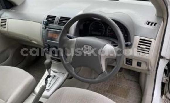 Tenga Tsaru Toyota Axio Chena Mota in Beitbridge in Matabeleland South Tenga Tsaru Toyota Axio Chena Mota in Beitbridge in Matabeleland South