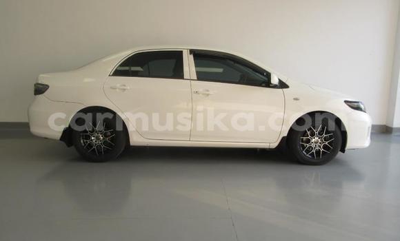 Nunua Ilio tumika Toyota Corolla Nyeupe Gari ndani ya Beitbridge nchini Matabeleland Kusini