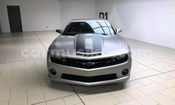 Buy Used Chevrolet Camaro Other Car in Chinhoyi in Mashonaland West