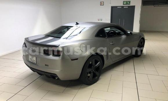 Buy Used Chevrolet Camaro Other Car in Chinhoyi in Mashonaland West Buy Used Chevrolet Camaro Other Car in Chinhoyi in Mashonaland West