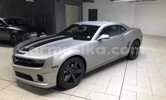 Buy Used Chevrolet Camaro Other Car in Chinhoyi in Mashonaland West Buy Used Chevrolet Camaro Other Car in Chinhoyi in Mashonaland West