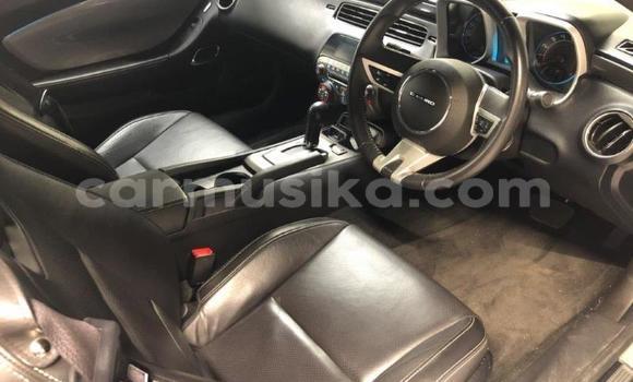 Buy Used Chevrolet Camaro Other Car in Chinhoyi in Mashonaland West Buy Used Chevrolet Camaro Other Car in Chinhoyi in Mashonaland West