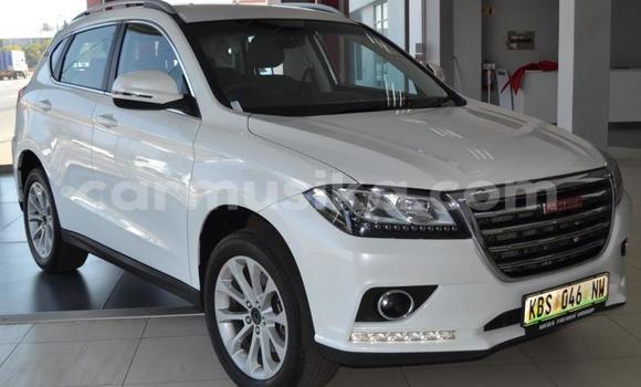 Acheter Occasion Voiture Haval H2 Blanc à Beitbridge, Matabeleland South Acheter Occasion Voiture Haval H2 Blanc à Beitbridge, Matabeleland South