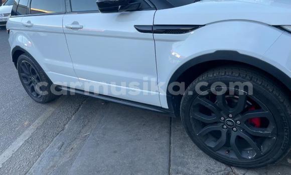 Buy Used Land Rover Range Rover Evoque White Car in Harare in Harare Buy Used Land Rover Range Rover Evoque White Car in Harare in Harare