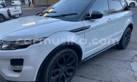 Buy Used Land Rover Range Rover Evoque White Car in Harare in Harare Buy Used Land Rover Range Rover Evoque White Car in Harare in Harare