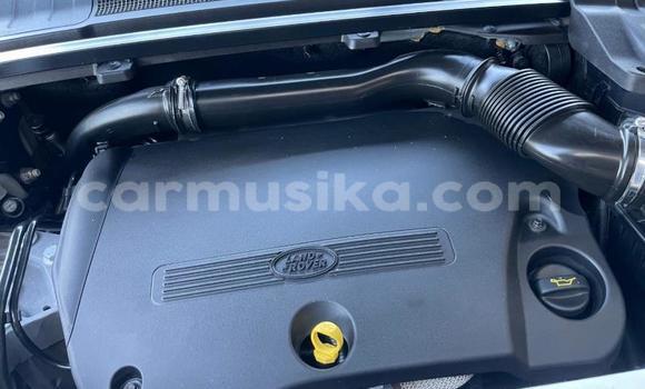 Buy Used Land Rover Range Rover Evoque White Car in Harare in Harare Buy Used Land Rover Range Rover Evoque White Car in Harare in Harare