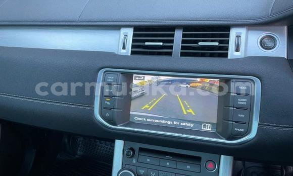 Buy Used Land Rover Range Rover Evoque White Car in Harare in Harare Buy Used Land Rover Range Rover Evoque White Car in Harare in Harare