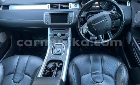 Buy Used Land Rover Range Rover Evoque White Car in Harare in Harare Buy Used Land Rover Range Rover Evoque White Car in Harare in Harare