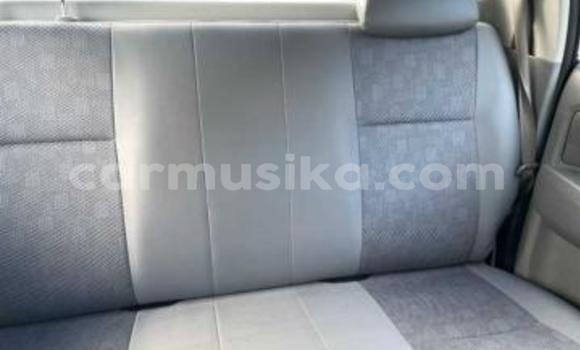 Tenga Tsaru Toyota Hilux Chena Mota in Beitbridge in Matabeleland South Tenga Tsaru Toyota Hilux Chena Mota in Beitbridge in Matabeleland South