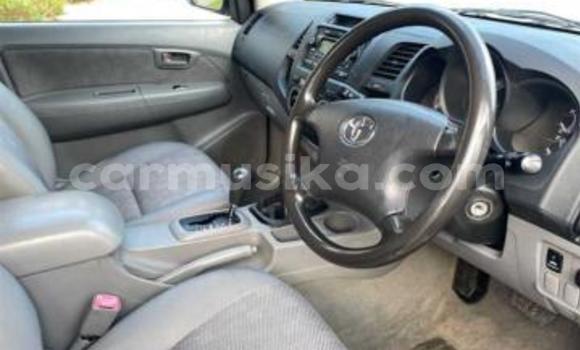 Tenga Tsaru Toyota Hilux Chena Mota in Beitbridge in Matabeleland South Tenga Tsaru Toyota Hilux Chena Mota in Beitbridge in Matabeleland South