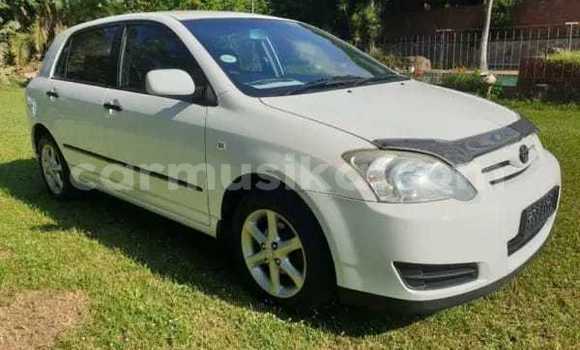 Acheter Occasion Voiture Toyota Runx Blanc à Beitbridge, Matabeleland South Acheter Occasion Voiture Toyota Runx Blanc à Beitbridge, Matabeleland South