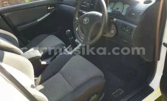 Acheter Occasion Voiture Toyota Runx Blanc à Beitbridge, Matabeleland South Acheter Occasion Voiture Toyota Runx Blanc à Beitbridge, Matabeleland South