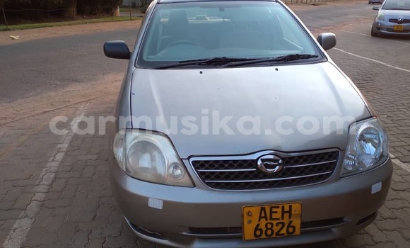 Buy Used Toyota Corolla Beige Car in Harare in Harare Buy Used Toyota Corolla Beige Car in Harare in Harare