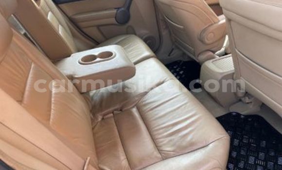 Acheter Occasion Voiture Honda CR–V Blanc à Harare, Harare