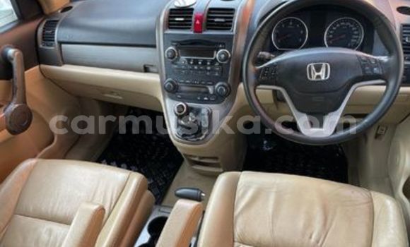Buy Used Honda CR–V White Car in Harare in Harare Buy Used Honda CR–V White Car in Harare in Harare