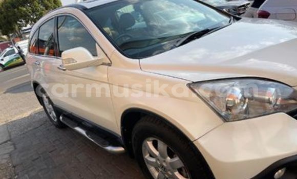 Buy Used Honda CR–V White Car in Harare in Harare Buy Used Honda CR–V White Car in Harare in Harare