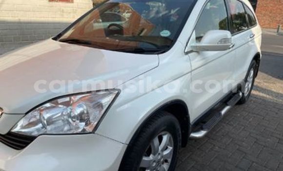 Buy Used Honda CR–V White Car in Harare in Harare Buy Used Honda CR–V White Car in Harare in Harare
