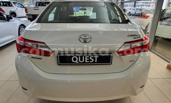 Nunua Ilio tumika Toyota Corolla Nyeupe Gari ndani ya Beitbridge nchini Matabeleland Kusini Nunua Ilio tumika Toyota Corolla Nyeupe Gari ndani ya Beitbridge nchini Matabeleland Kusini