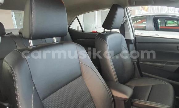 Nunua Ilio tumika Toyota Corolla Nyeupe Gari ndani ya Beitbridge nchini Matabeleland Kusini Nunua Ilio tumika Toyota Corolla Nyeupe Gari ndani ya Beitbridge nchini Matabeleland Kusini