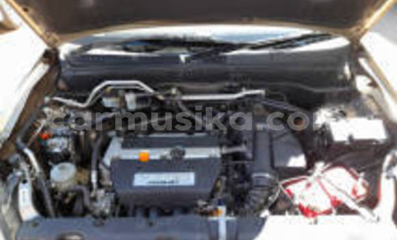 Buy Used Honda CR–V Other Car in Harare in Harare