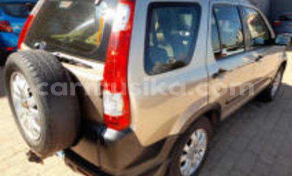 Buy Used Honda CR–V Other Car in Harare in Harare Buy Used Honda CR–V Other Car in Harare in Harare