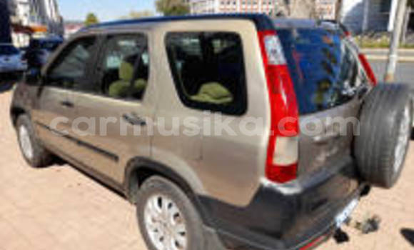 Buy Used Honda CR–V Other Car in Harare in Harare Buy Used Honda CR–V Other Car in Harare in Harare