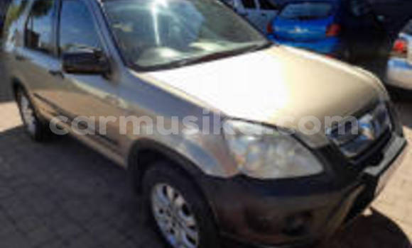 Buy Used Honda CR–V Other Car in Harare in Harare Buy Used Honda CR–V Other Car in Harare in Harare