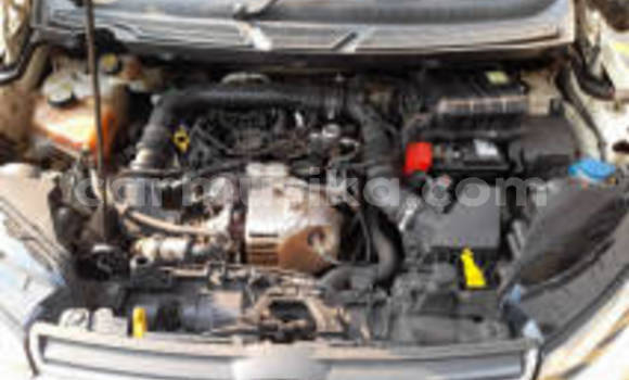 Tenga Tsaru Ford EcoSport Chena Mota in Harare in Harare