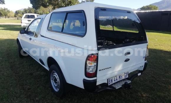 Buy Used Ford Pickup White Car in Harare in Harare Buy Used Ford Pickup White Car in Harare in Harare