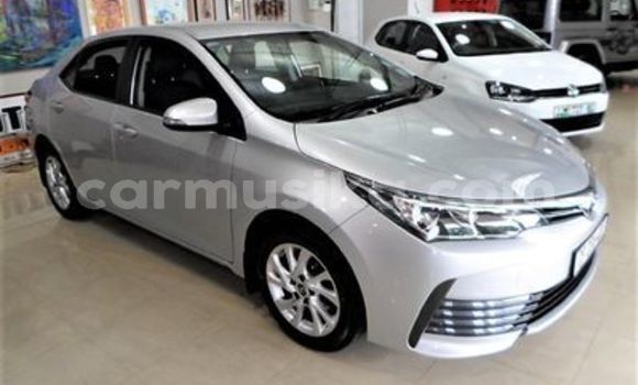 Nunua Ilio tumika Toyota Corolla Fedha Gari ndani ya Beitbridge nchini Matabeleland Kusini