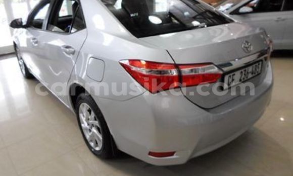 Acheter Occasion Voiture Toyota Corolla Gris à Beitbridge, Matabeleland South Acheter Occasion Voiture Toyota Corolla Gris à Beitbridge, Matabeleland South