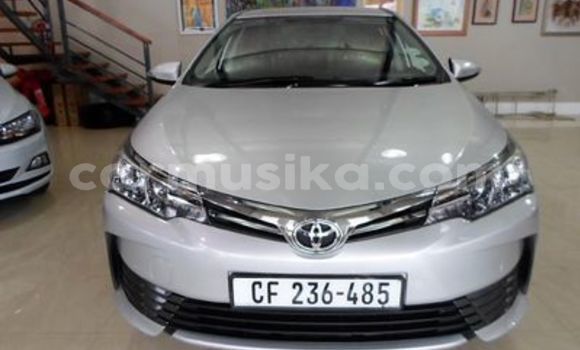 Acheter Occasion Voiture Toyota Corolla Gris à Beitbridge, Matabeleland South Acheter Occasion Voiture Toyota Corolla Gris à Beitbridge, Matabeleland South
