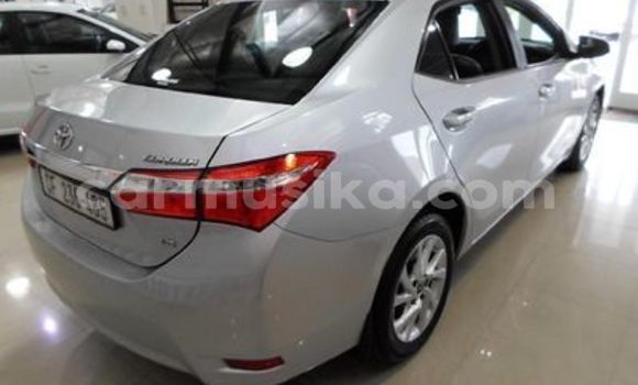 Acheter Occasion Voiture Toyota Corolla Gris à Beitbridge, Matabeleland South Acheter Occasion Voiture Toyota Corolla Gris à Beitbridge, Matabeleland South