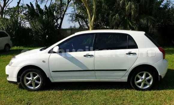Buy Used Toyota Runx White Car in Bulawayo in Bulawayo