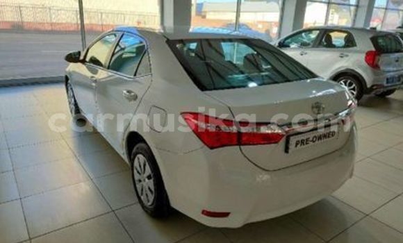 Acheter Occasion Voiture Toyota Corolla Blanc à Beitbridge, Matabeleland South Acheter Occasion Voiture Toyota Corolla Blanc à Beitbridge, Matabeleland South